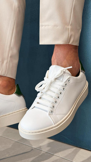 02649_366_0|fcf00bc462be63d0e7cb87156817e213