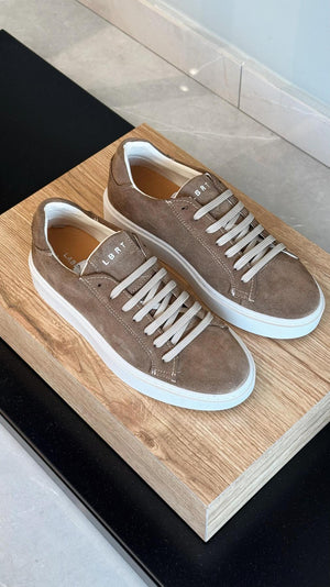 02657_197|8d9df4eb1e833df4574790f660836de9